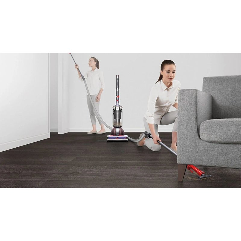 Dyson - Dyson Ball Animal 3 Plus Upright Vacuum (A Grade)
