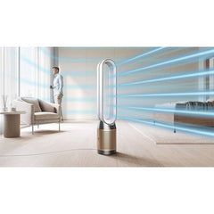 Dyson - Dyson Purifier Cool Formaldehyde TP09 purifying fan (Nickel/Gold)