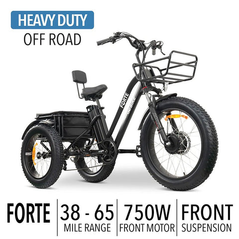 GOBike - GOBike FORTE Electric Tricycle