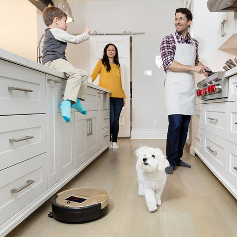 Aspirateur robot et vadrouille Bobsweep - Champagne